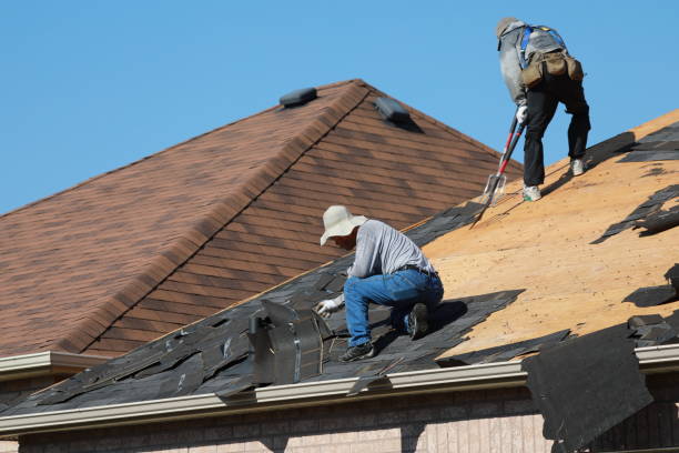 Best Roof Inspection  in Phelan, CA